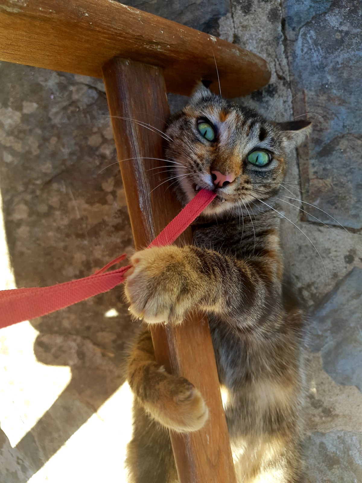 Küsschen von den Landeiern..